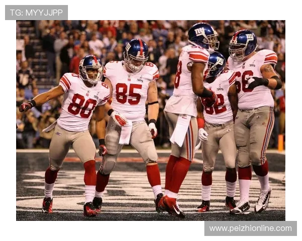 绝地反击书写经典夜 NFL爱国者28比24逆转乌鸦亨利达阵绝杀